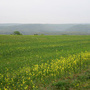 Stradonice, Hradiště