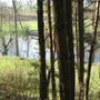 Katovice, Kněží hora