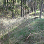 Katovice, Kněží hora