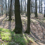 Katovice, Kněží hora