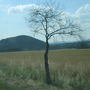 Katovice, Kněží hora