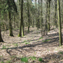 Katovice, Kněží hora