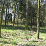 Katovice, Kněží hora