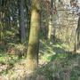 Katovice, Kněží hora