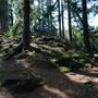 Studenec, Obří Hrad