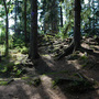 Studenec, Obří Hrad