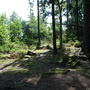 Studenec, Obří Hrad