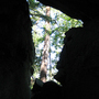 Studenec, Obří Hrad