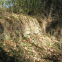 Holubov, Třísov