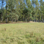 Holubov, Třísov