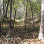 Holubov, Třísov