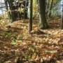 Holubov, Třísov
