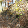 Holubov, Třísov