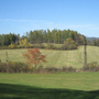 Holubov, Třísov