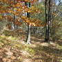 Holubov, Třísov