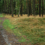 Konecchlumí, Hůra