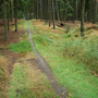 Konecchlumí, Hůra