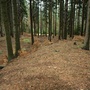 Konecchlumí, Hůra