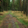 Konecchlumí, Hůra