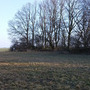 Markvartice, Markvartice