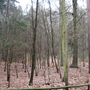 Karlovice (Mašov), Čertova ruka