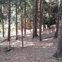 Vesec pod Kozákovem, Kozákov