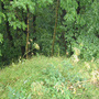 Štramberk, Kotouč