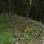 Albrechtice, Sedlo