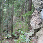 Albrechtice, Sedlo