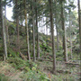 Albrechtice, Sedlo