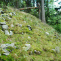 Albrechtice, Sedlo