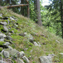Albrechtice, Sedlo