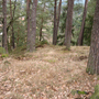 Kaliště, Koubova skála