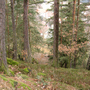 Kaliště, Koubova skála