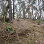 Kaliště, Koubova skála