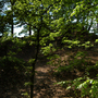 Dneboh, Klamorna