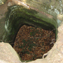Dneboh, Klamorna