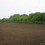 Stradonice, Hradiště
