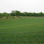 Stradonice, Hradiště